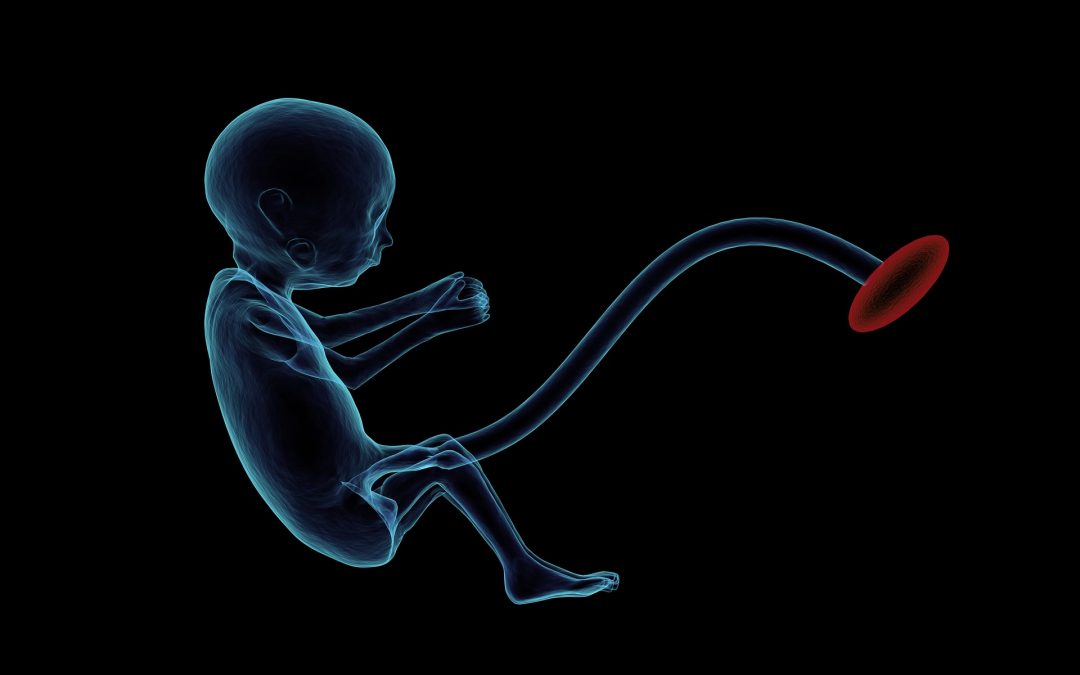 Αξιολόγηση της ποιότητας των εμβρύων με ανίχνευση πρωτεϊνών τους