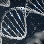 Η επιλογή εμβρύων με τις καλύτερες πιθανότητες υγείας πυροδοτεί νέα συζήτηση για το DNA