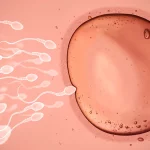 Γιατί 6 στα 10 έμβρυα εξωσωματικής δεν φτάνουν στο στάδιο της βλαστοκύστης 