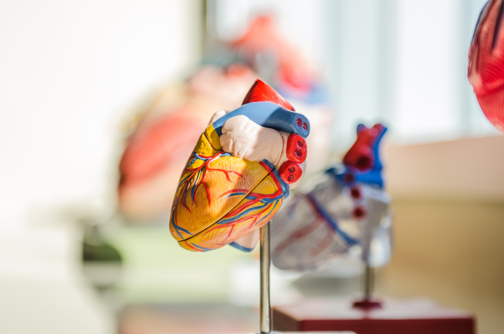 Τα άτομα με συγγενείς καρδιοπάθειες ανησυχούν ότι είναι υπογόνιμα, αλλά αυτό δε φαίνεται να ισχύει  