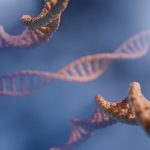 Έχει τελικά η πρόωρη εμμηνόπαυση γενετικά αίτια; 